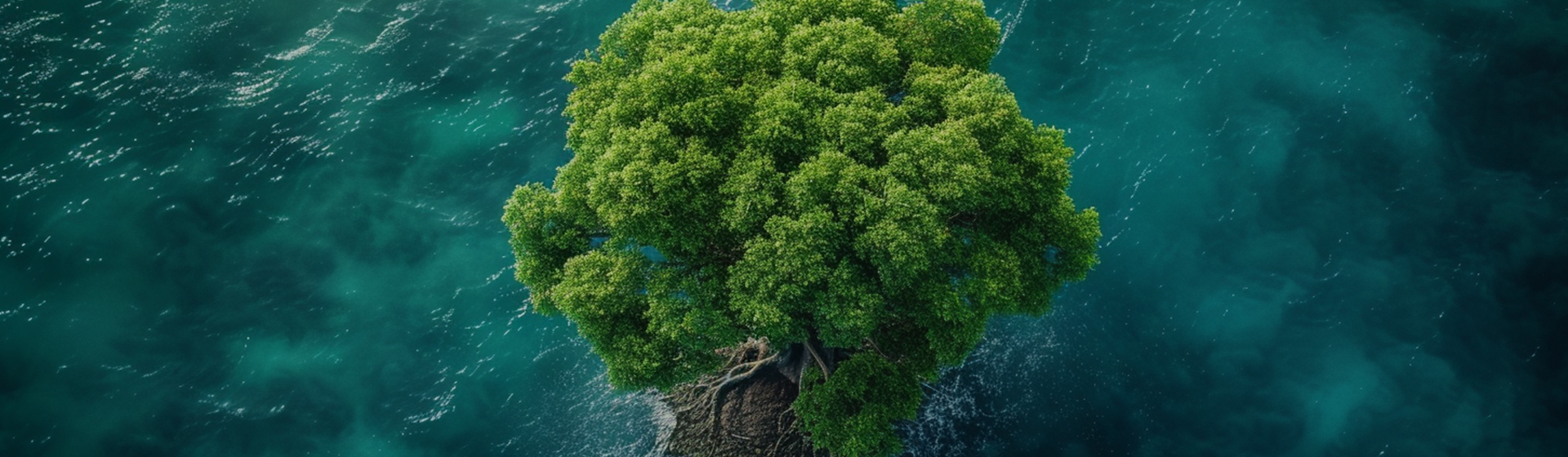 Ningbo Aikang Alúmanam Scage Technology Co., Ltd.